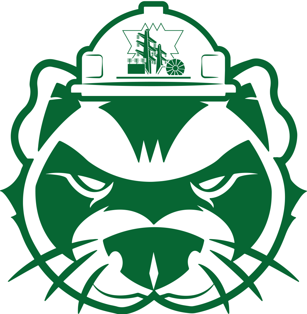 Ingeniería Eléctrica