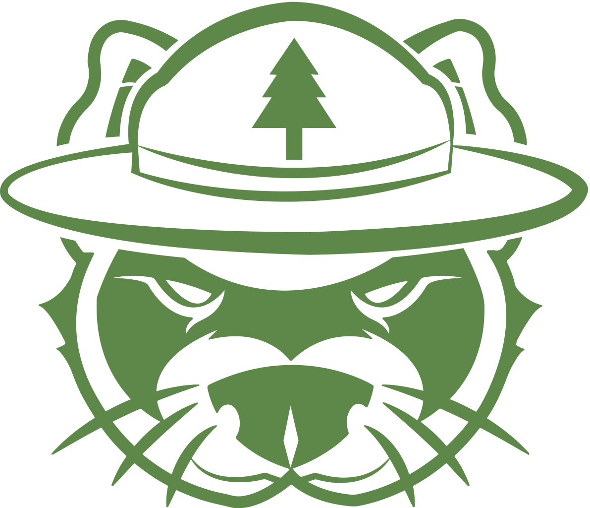 Ingeniería Forestal