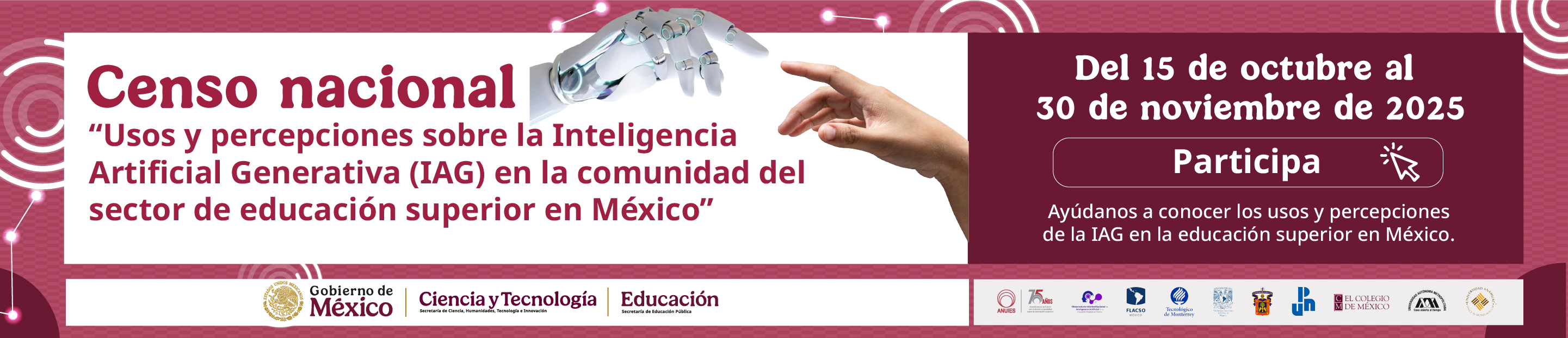 Banner Censo